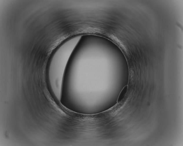 X0000092110581200709121131