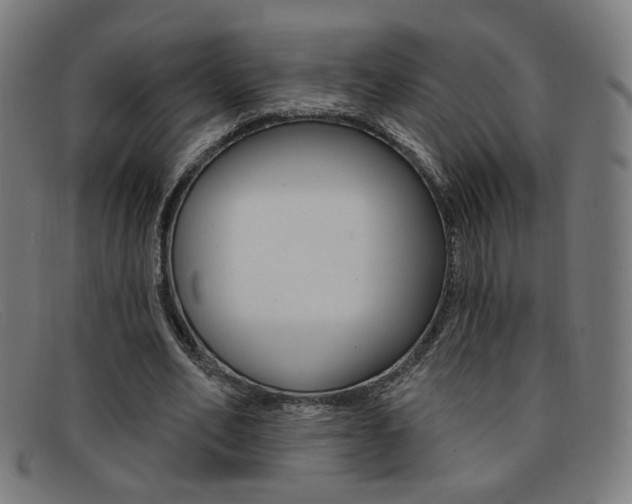 X0000092110582200709121131