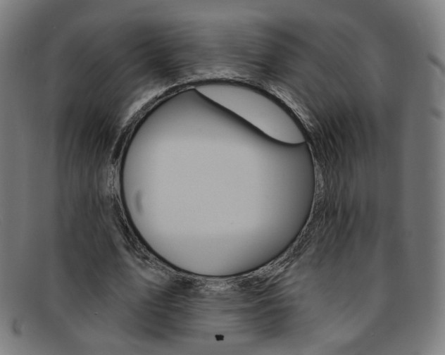 X0000092110583200709121131