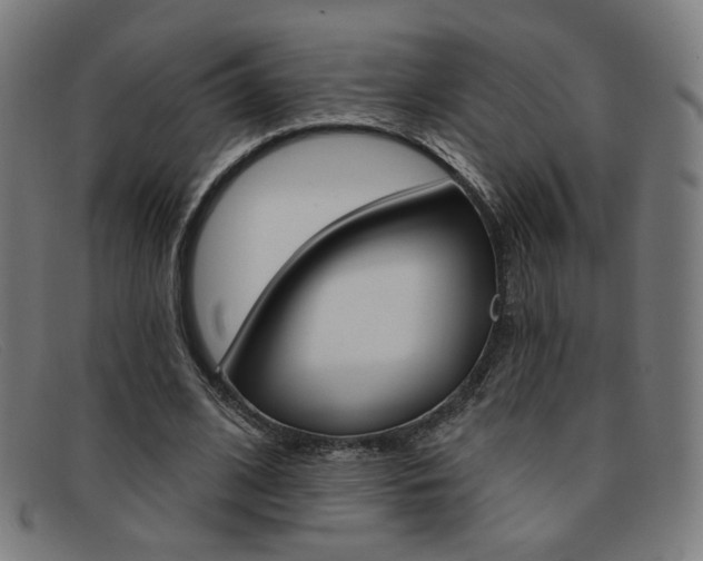 X0000092110584200709121131