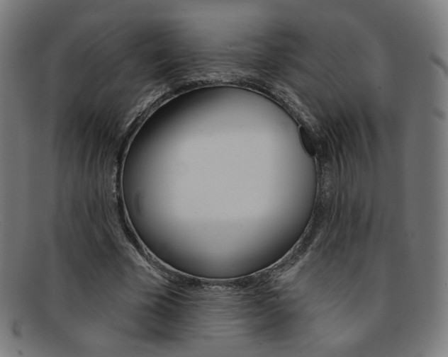 X0000092110585200709121131