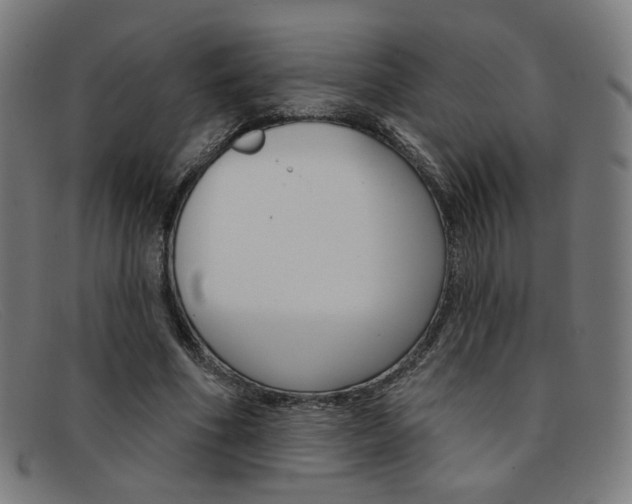 X0000092110586200709121131
