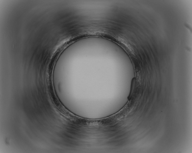 X0000092110587200709121131