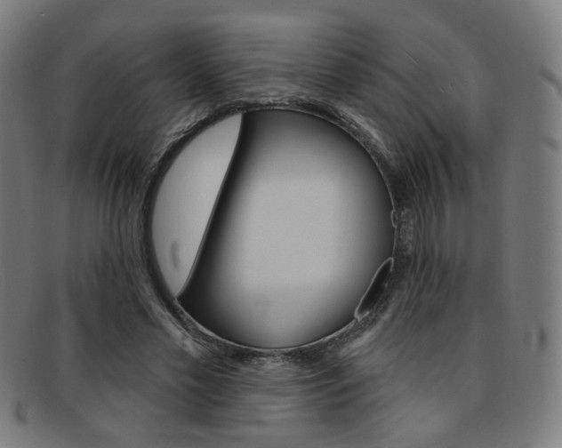 X0000092110589200709121131