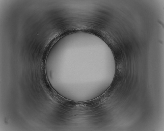 X0000092110591200709121131