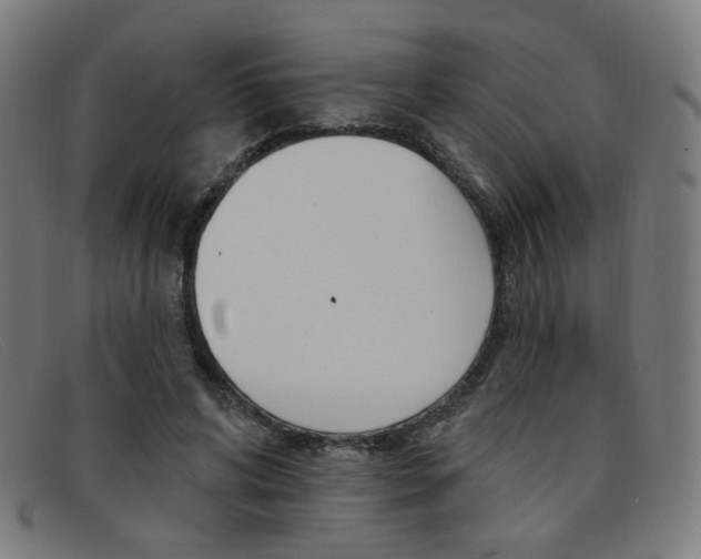 X0000092110592200709121131