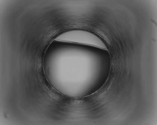 X0000092110593200709121131
