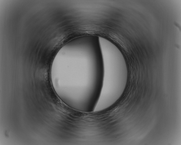 X0000092110595200709121131