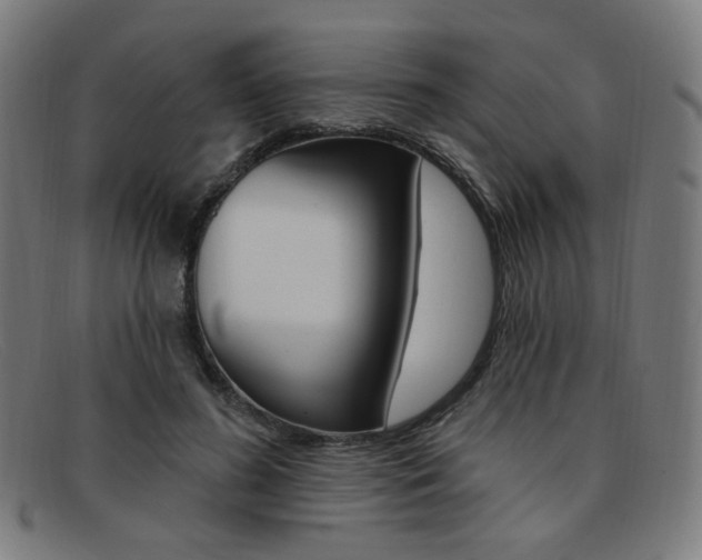 X0000092110596200709121131