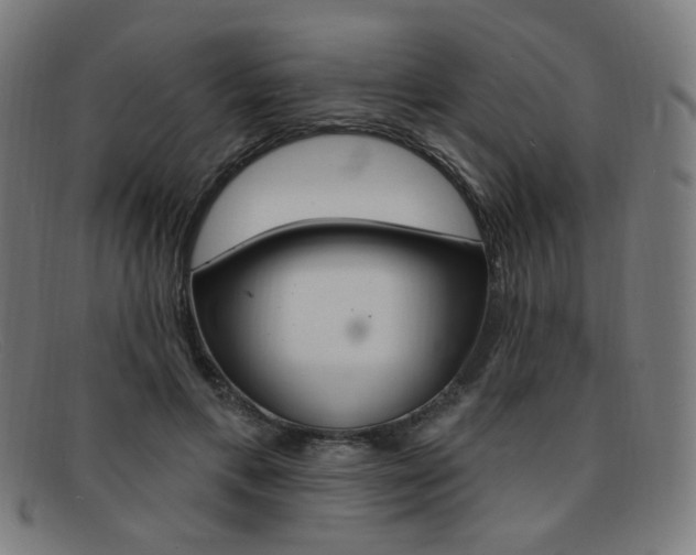 X0000092110597200709121131