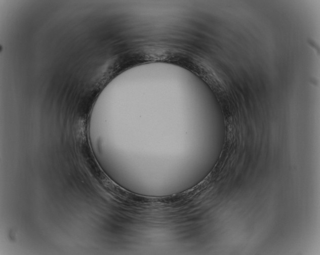 X0000092110598200709121131