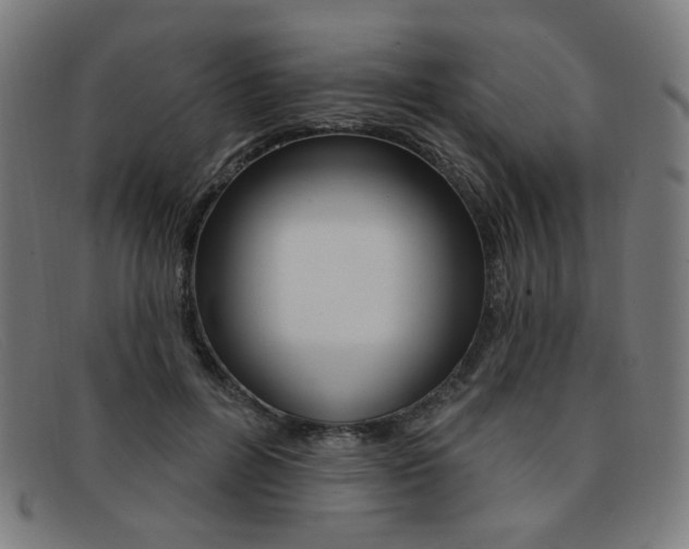 X0000092110600200709121131