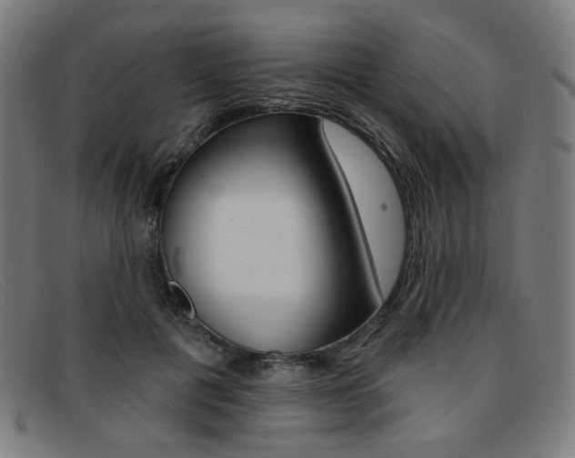 X0000092110601200709121131