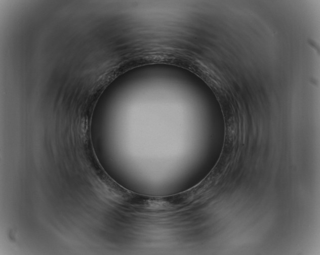 X0000092110605200709121131