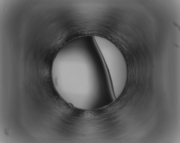 X0000092110608200709121131