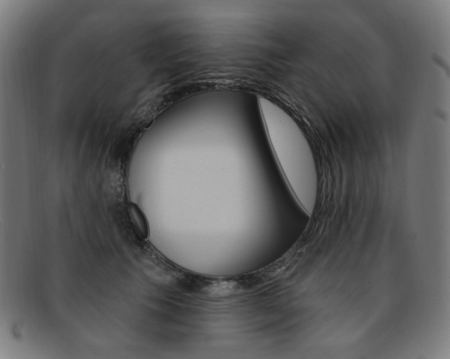 X0000092110609200709121131