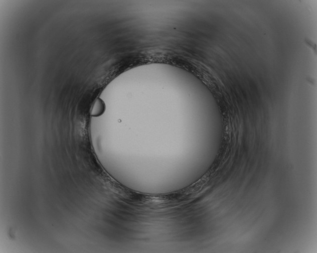 X0000092110610200709121131