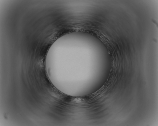 X0000092110611200709121131