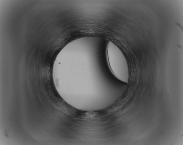 X0000092110612200709121131