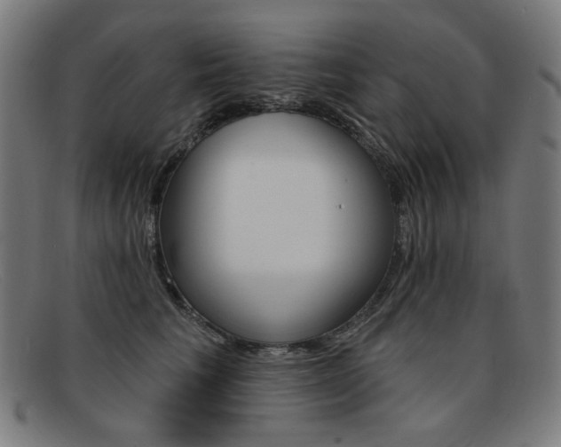 X0000092110613200709121131