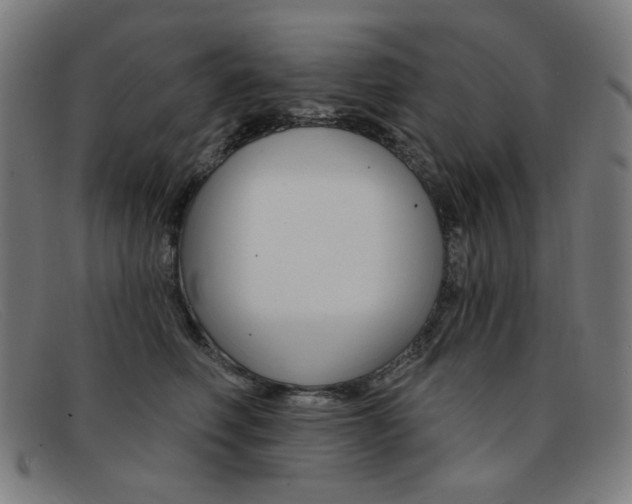 X0000092110614200709121131