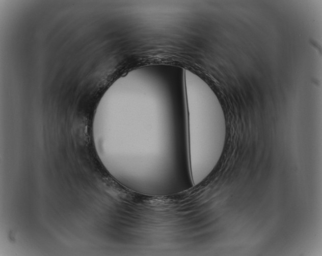 X0000092110615200709121131