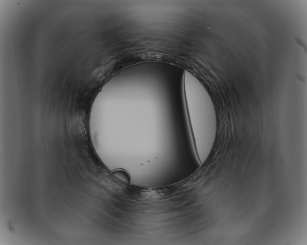 X0000092110616200709121131