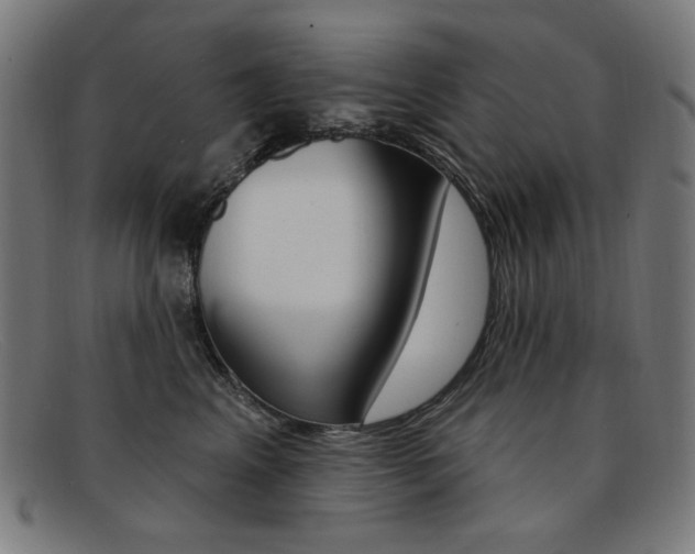 X0000092110617200709121131