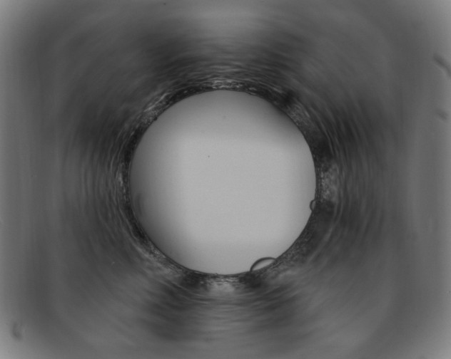 X0000092110618200709121131
