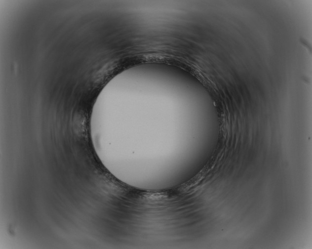 X0000092110619200709121131