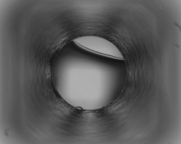 X0000092110620200709121131