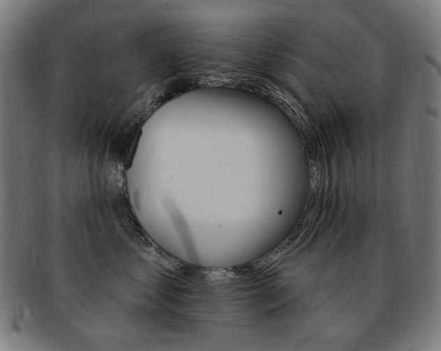 X0000092110621200709121131