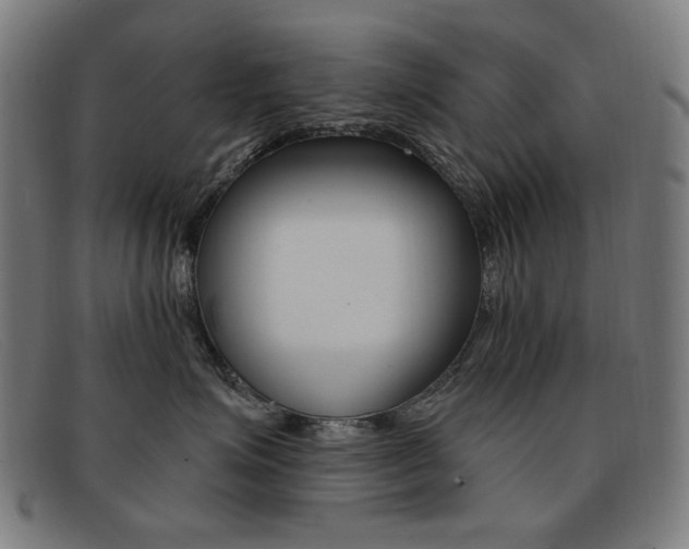 X0000092110623200709121131