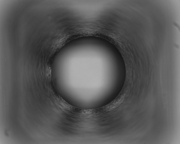X0000092110624200709121131