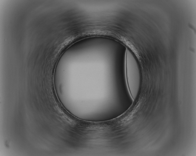 X0000092110625200709121130