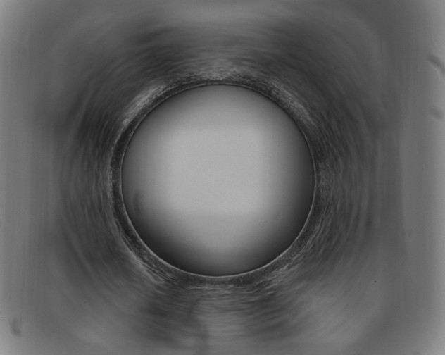 X0000092110626200709121130
