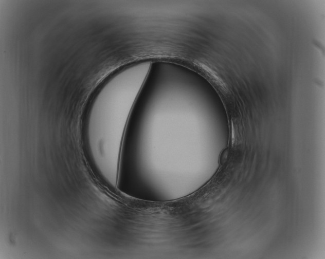 X0000092110627200709121130