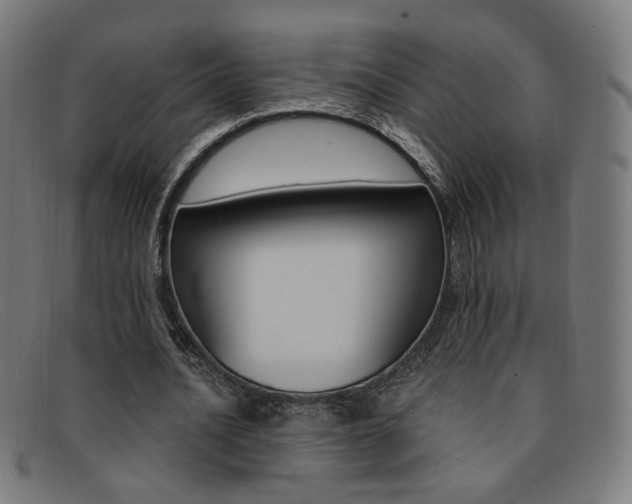 X0000092110628200709121130