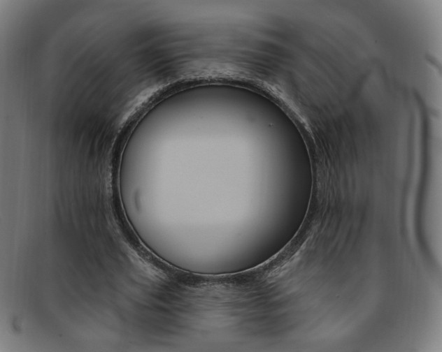 X0000092110629200709121130