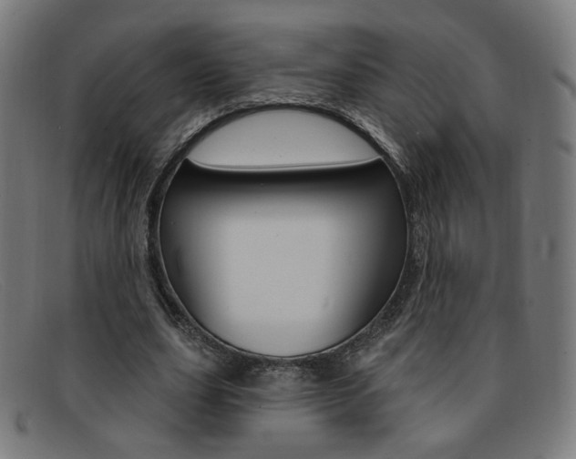 X0000092110631200709121130