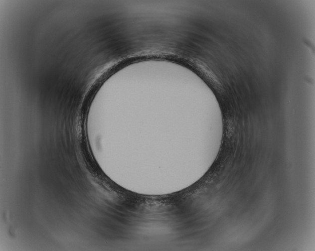 X0000092110632200709121130