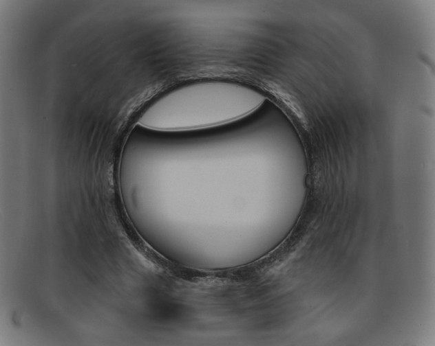 X0000092110633200709121130