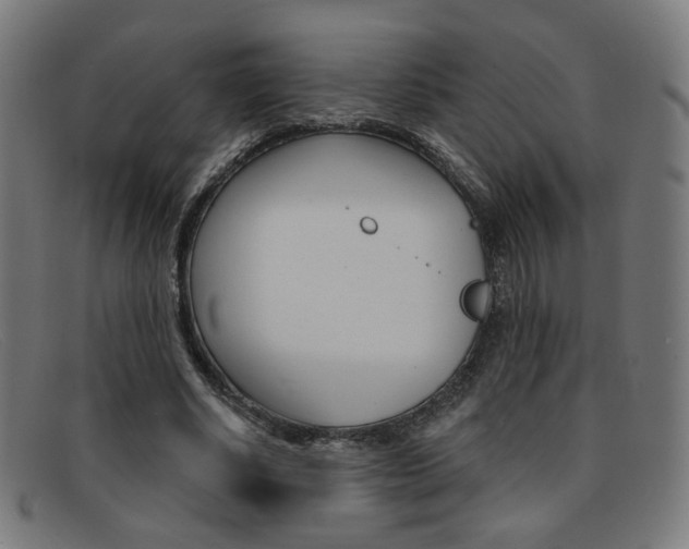 X0000092110634200709121130