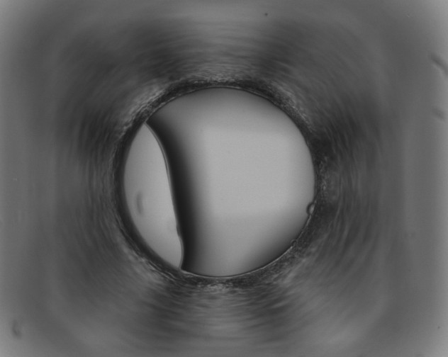 X0000092110635200709121130