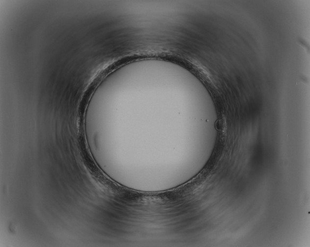 X0000092110636200709121130