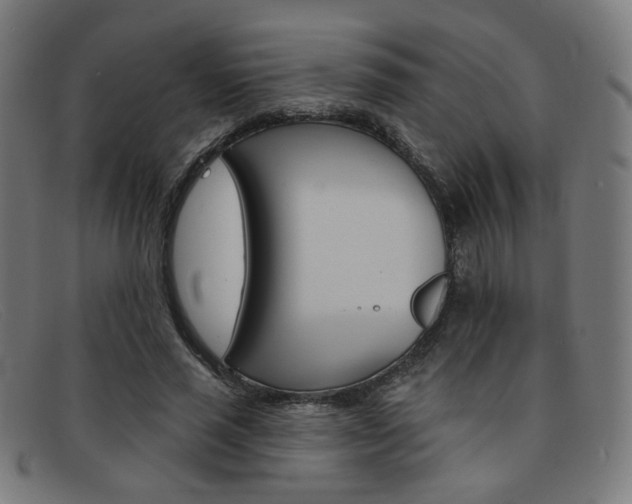 X0000092110637200709121130