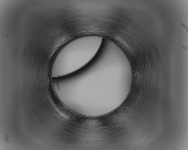 X0000092110638200709121130