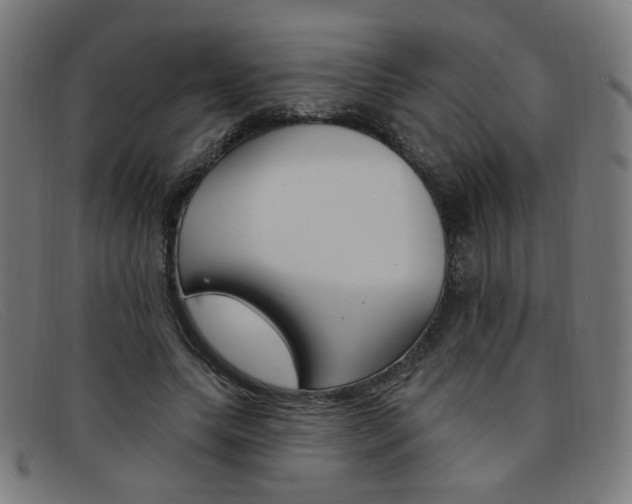 X0000092110639200709121130
