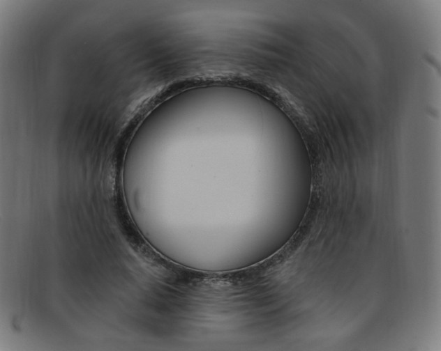 X0000092110640200709121130