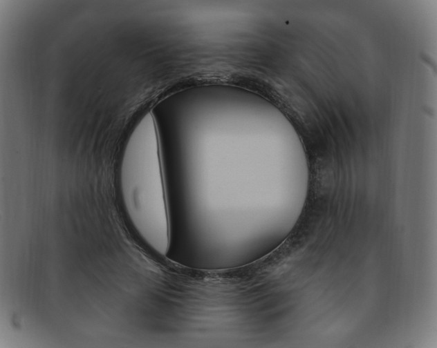 X0000092110641200709121130